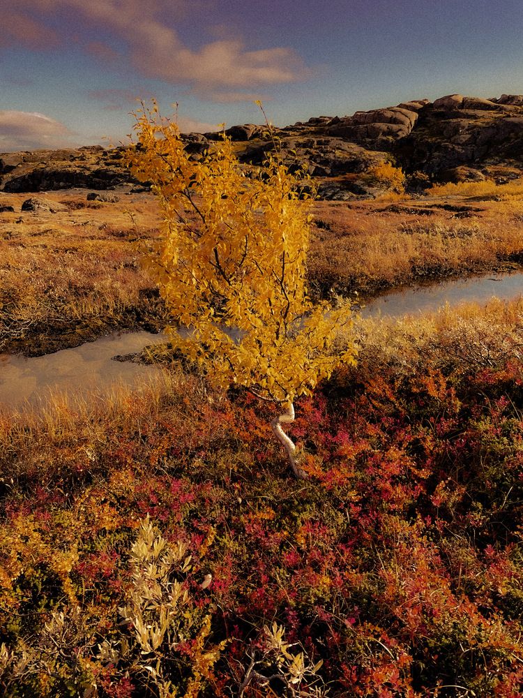 Photograph by Оксана Абакумова