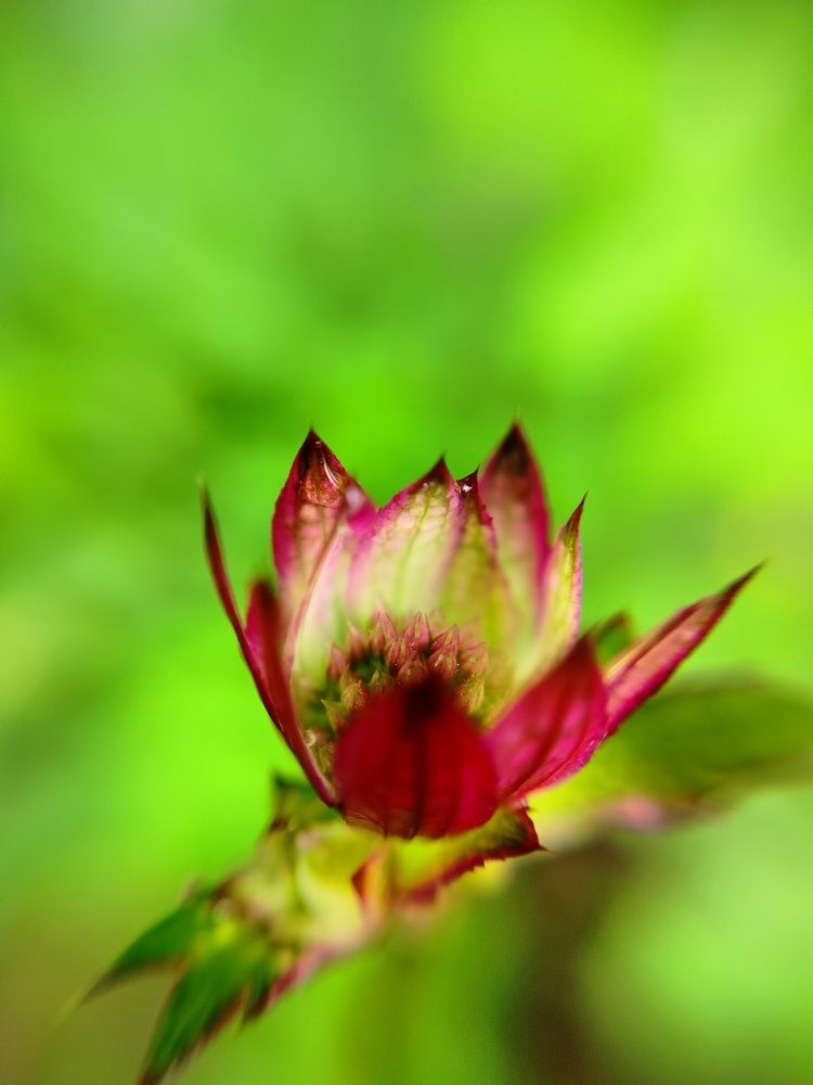Фотография автора Анастасия Горбачева
