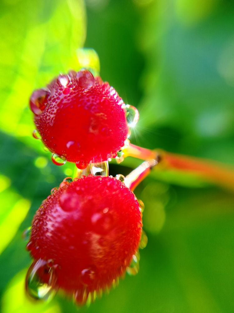 Фотография автора Анастасия Горбачева