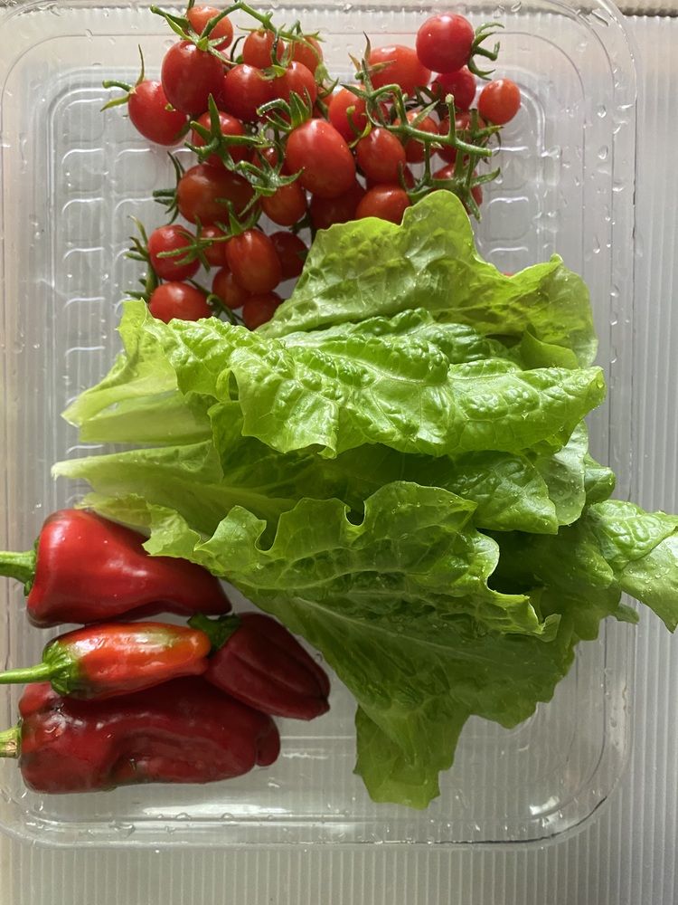 Photograph by Prasad babu Geddam