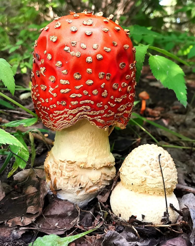 Photograph by Александр Бастраков