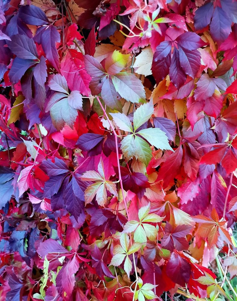 Photograph by Александр Бастраков