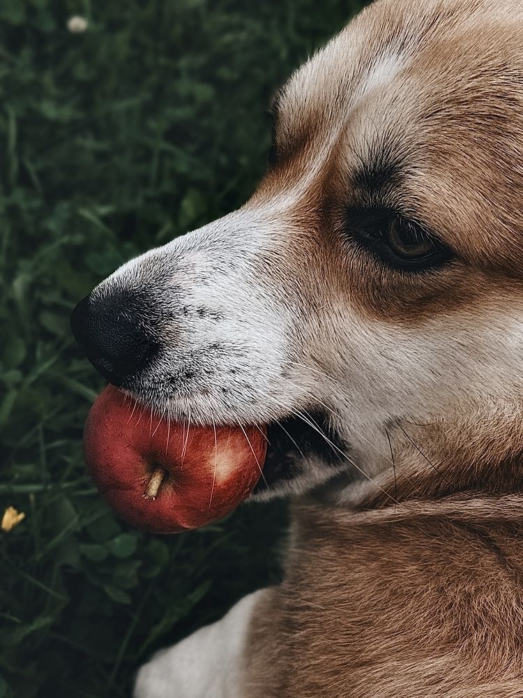 Фотография автора Ольга Князева