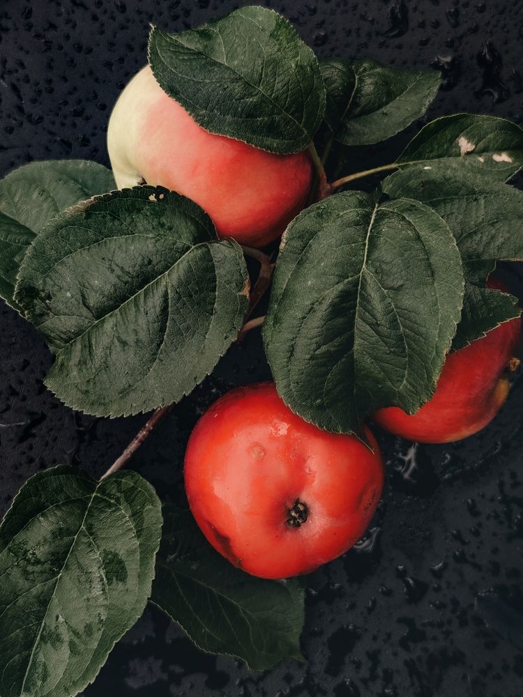 Фотография автора Ольга Князева