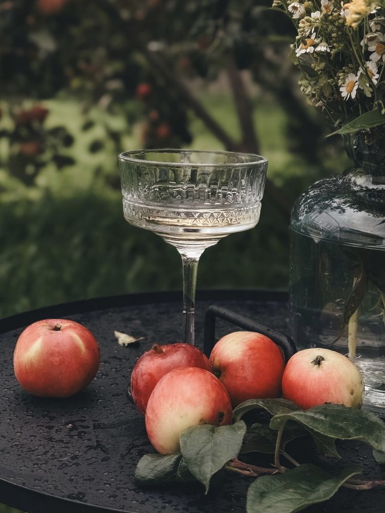 Фотография автора Ольга Князева