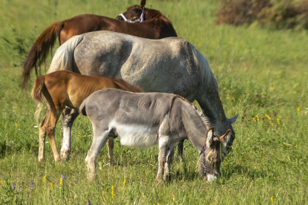 Photograph by миша