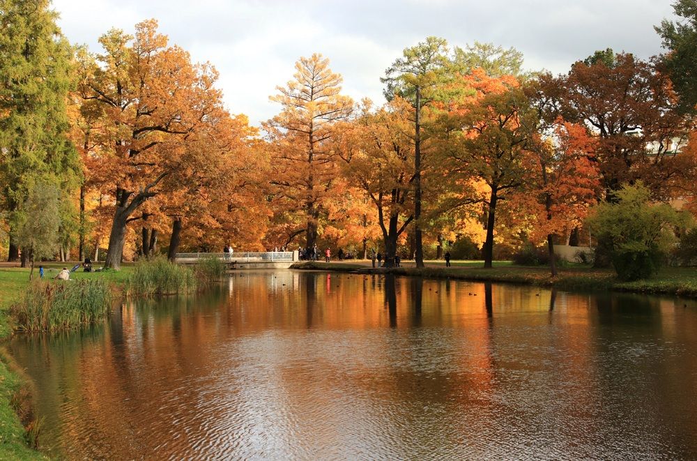 Photograph by Елена Николаева