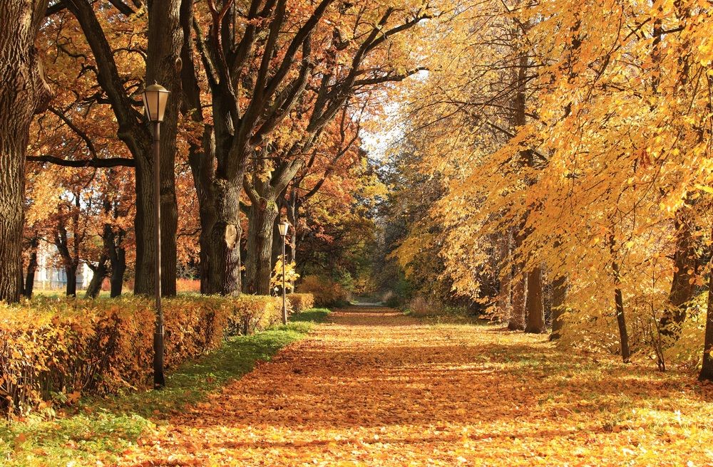 Photograph by Елена Николаева