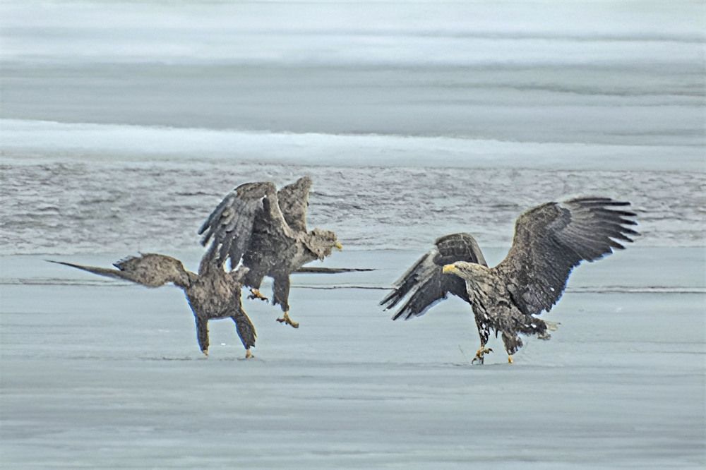 Photograph by миша