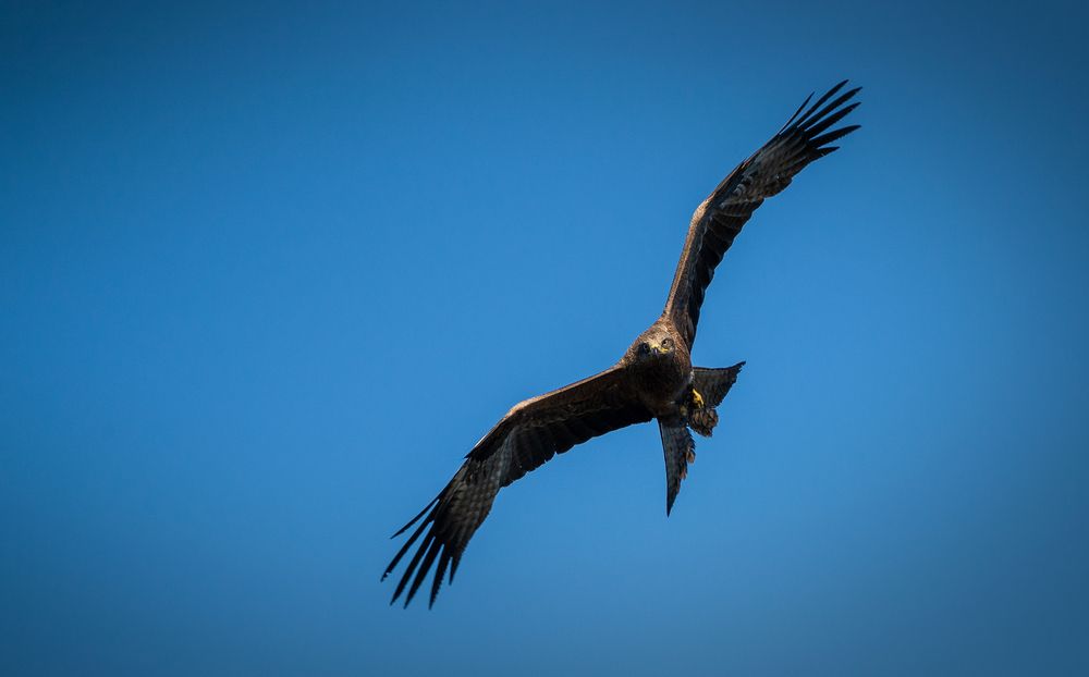 Photograph by Диков Руст