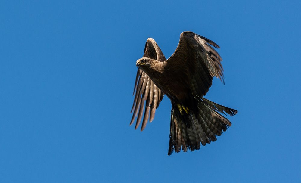 Photograph by Диков Руст