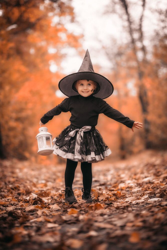 Фотография автора Павел