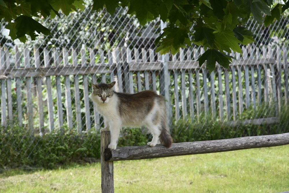 Фотография автора Юлия Финогенова