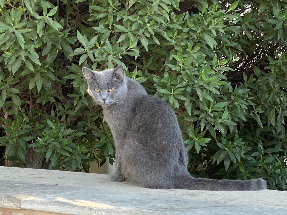 Photograph by Prasad babu Geddam
