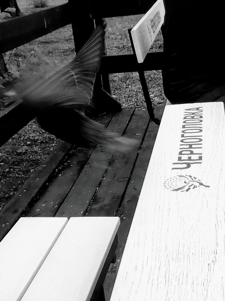 Фотография автора Irina Mihailovskaya