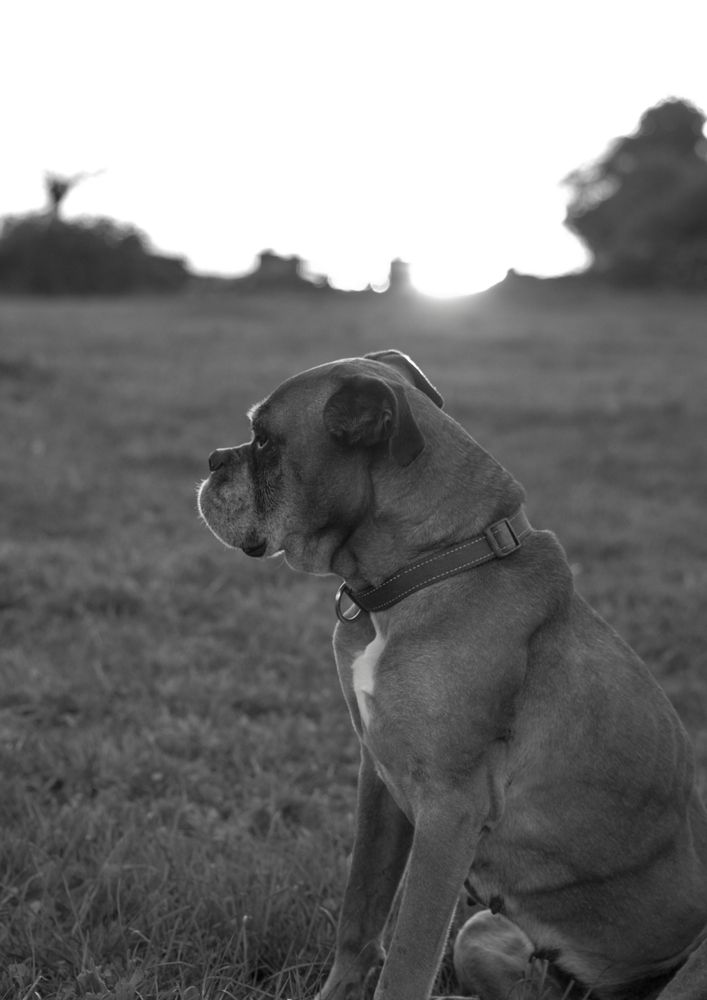 Фотография автора Adaya Iglesias