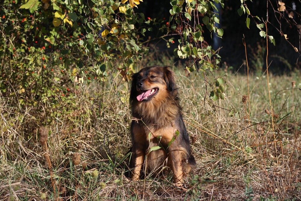 Фотография автора Любовь Войводич