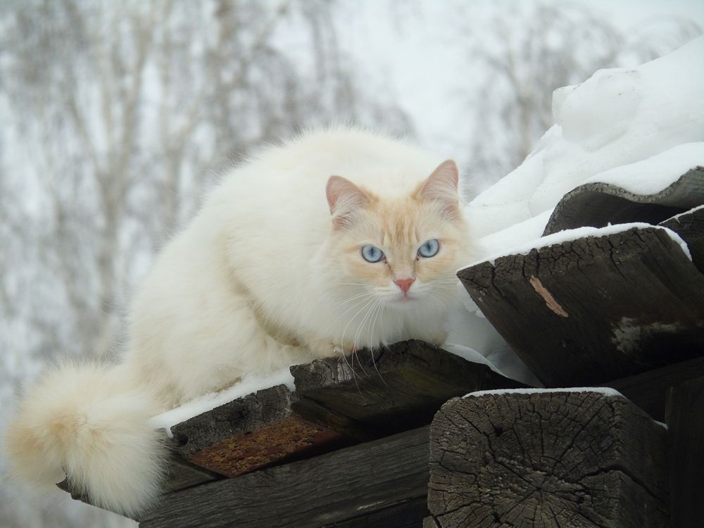 Photograph by Екатерина Солохина