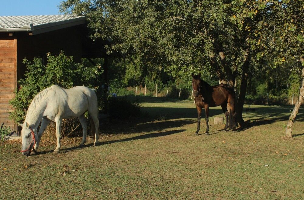 Фотография автора Любовь Войводич