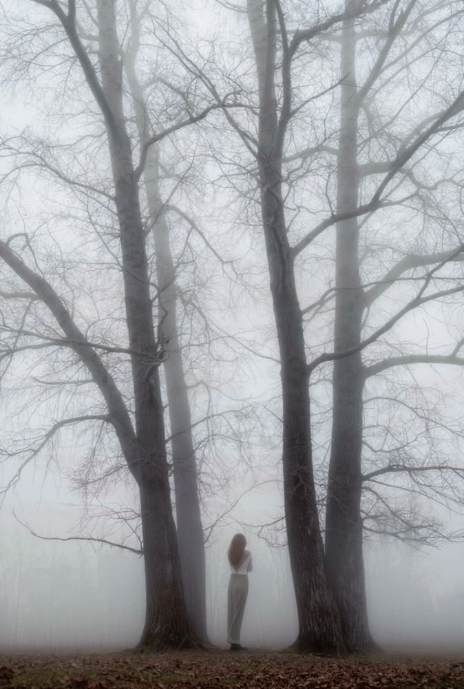 Photograph by Александра Токарева