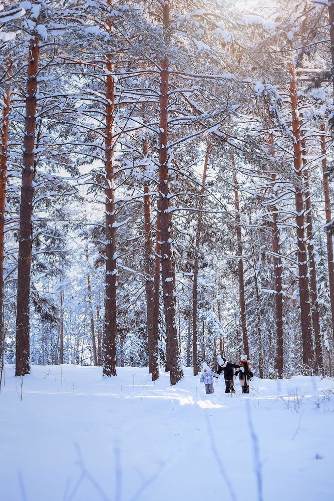 Фотография автора Мария Кравченко