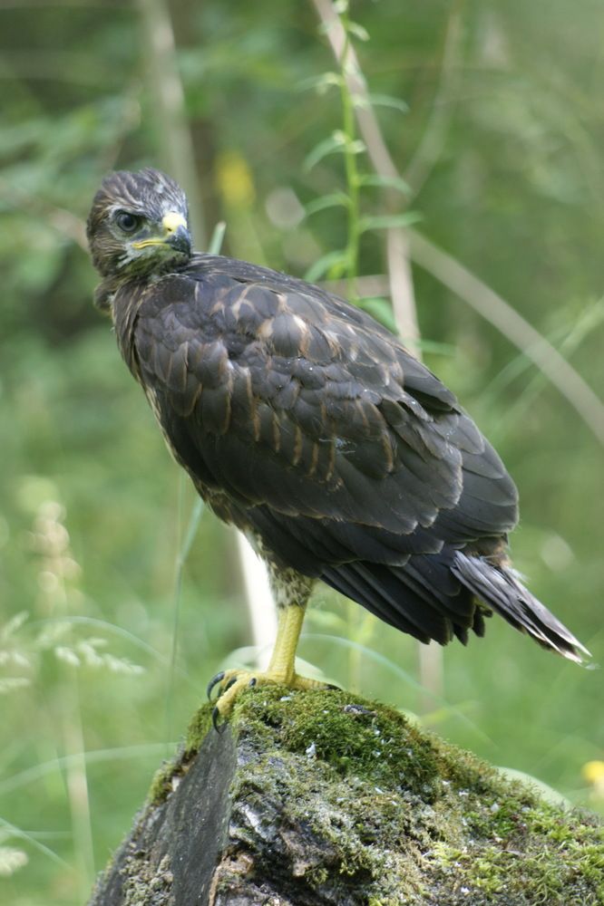 Photograph by Андрей Легостаев