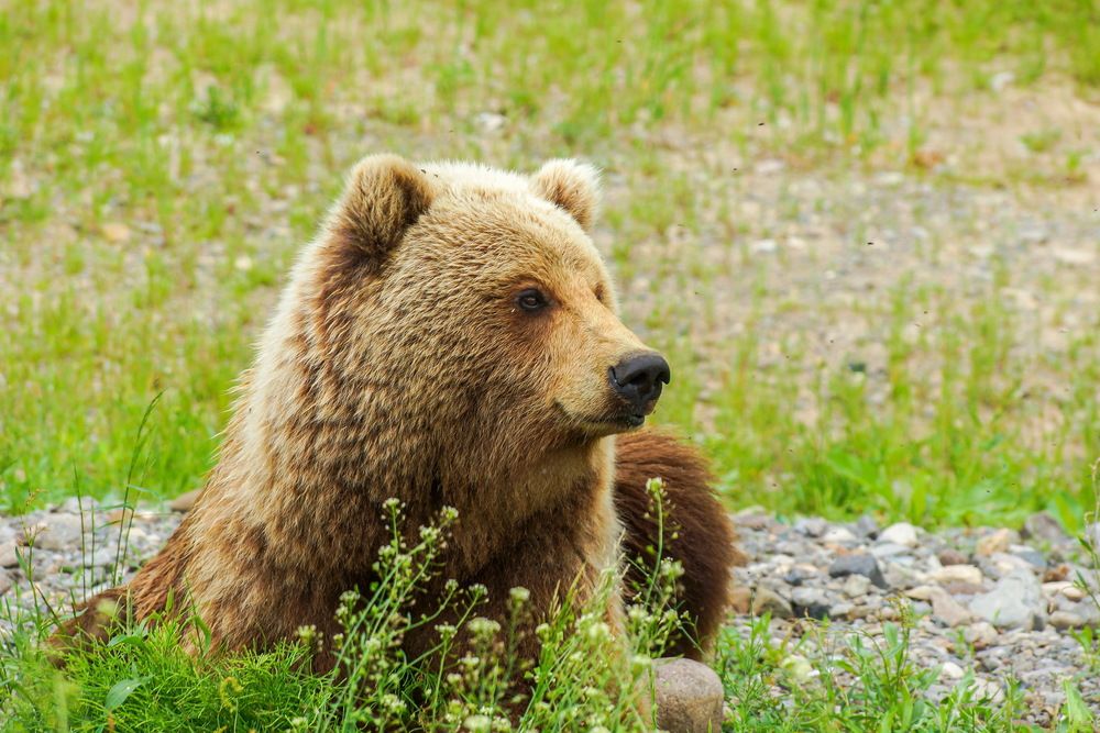 Photograph by Андрей Легостаев