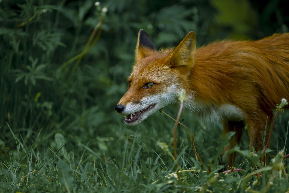 Photograph by Dmitriy Frost