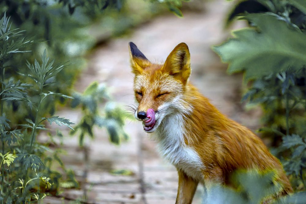 Photograph by Dmitriy Frost