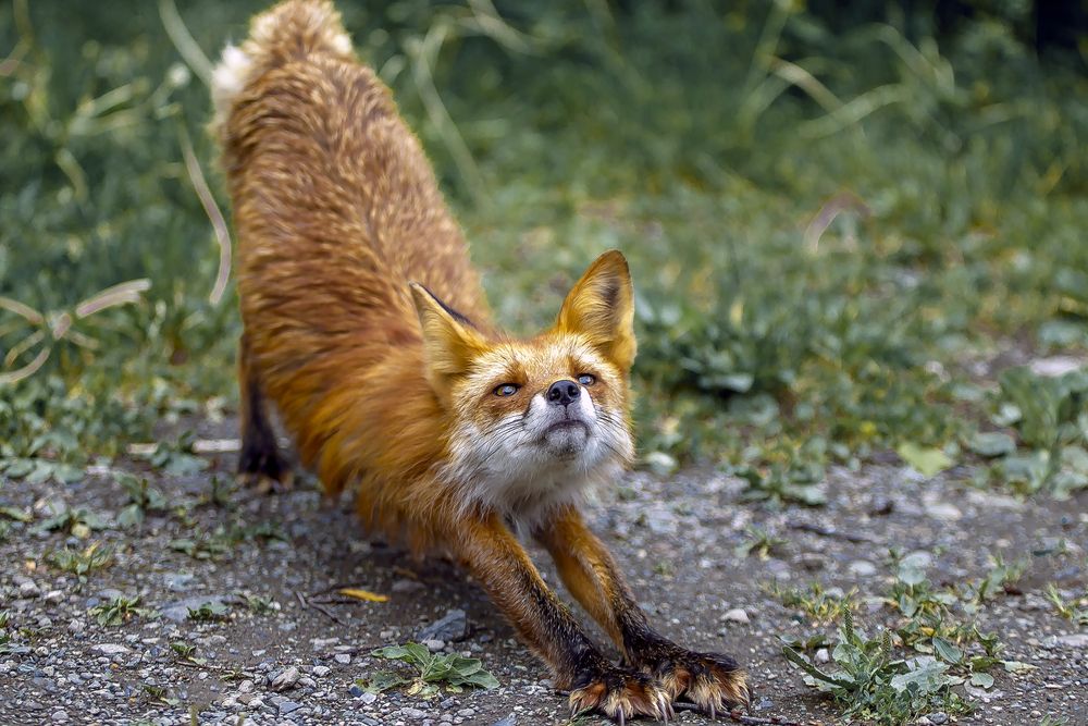 Photograph by Dmitriy Frost