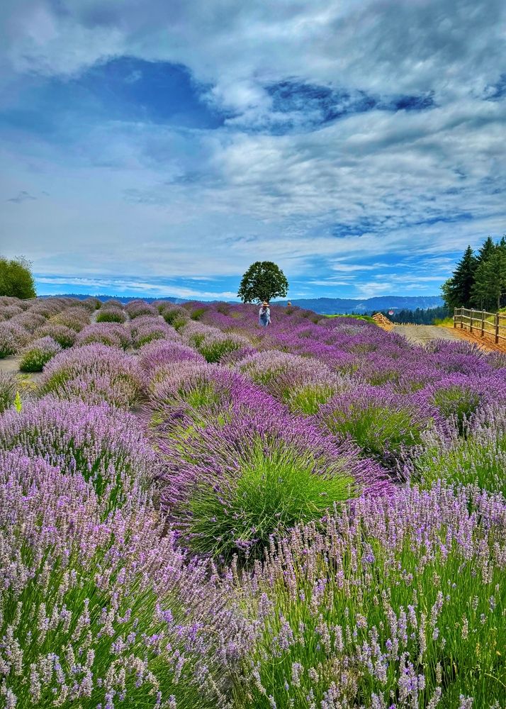 Photograph by Юлия Порфирьева