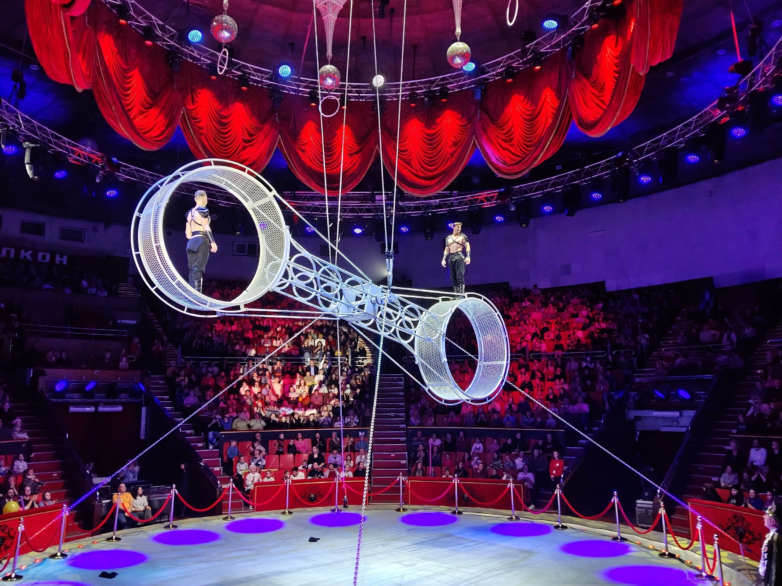 Фотография автора Елена Сухорученкова