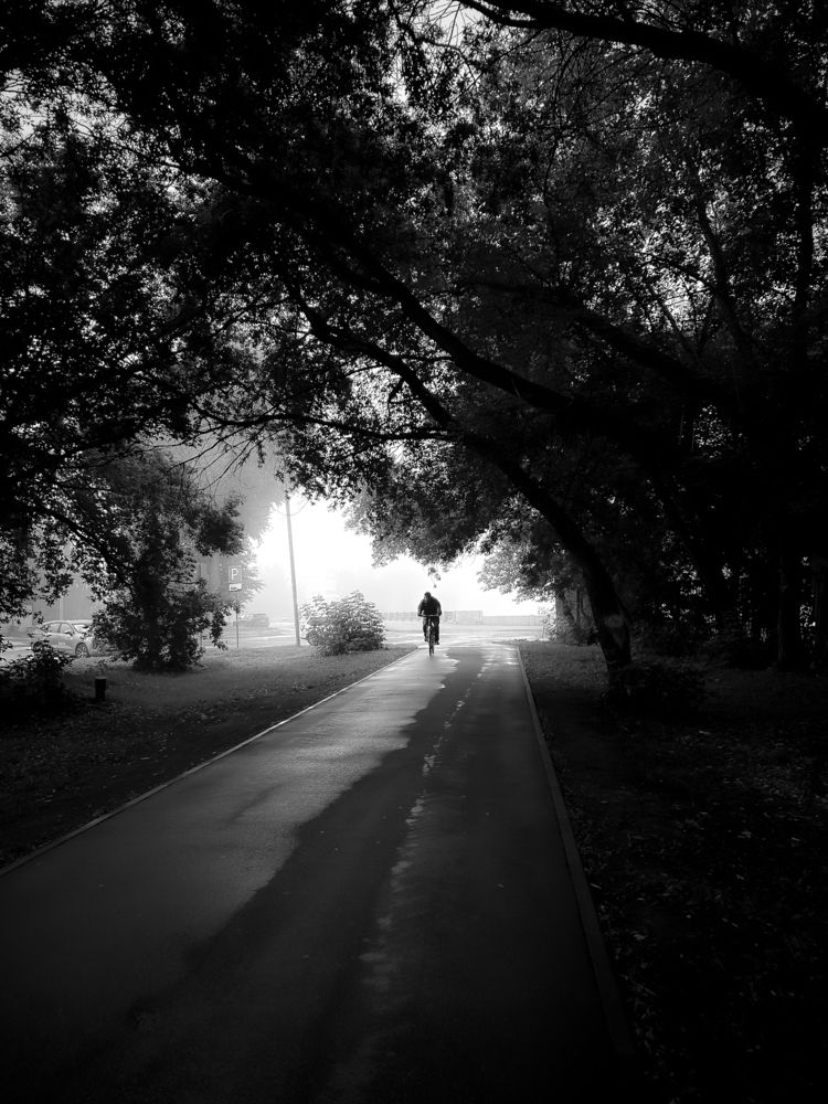 Фотография автора Константин Шипицын