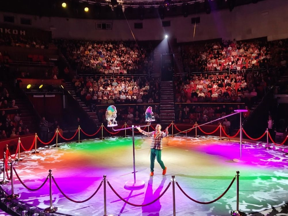 Фотография автора Елена Сухорученкова