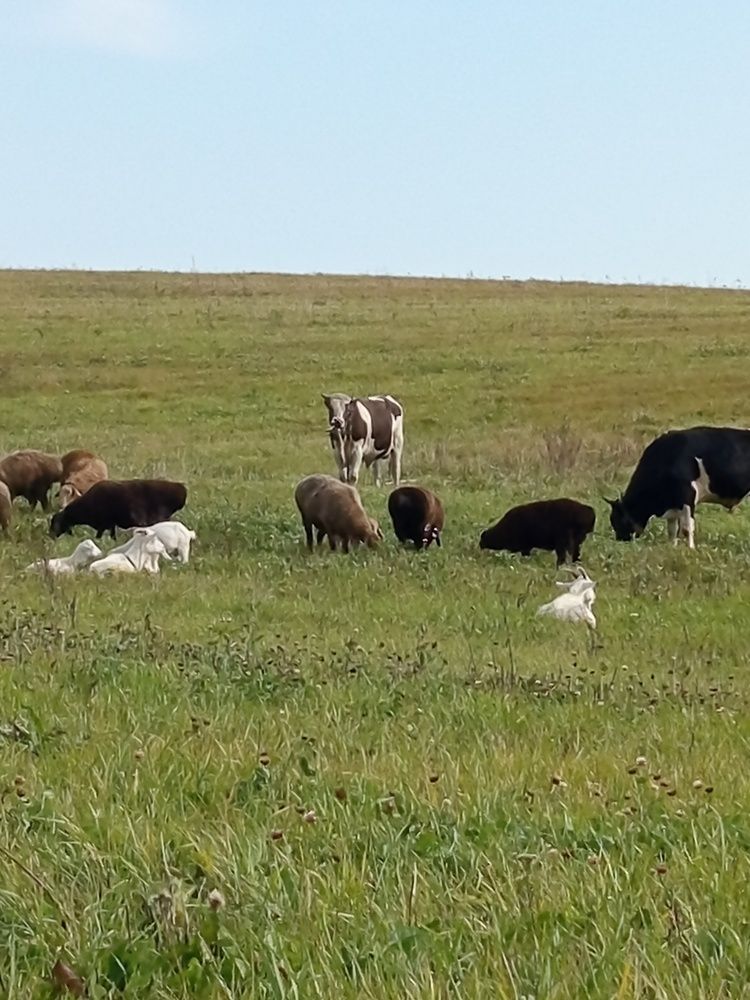 Фотография автора Екатерина Казырицкая