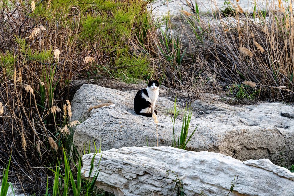 Photograph by Андрей Соколов