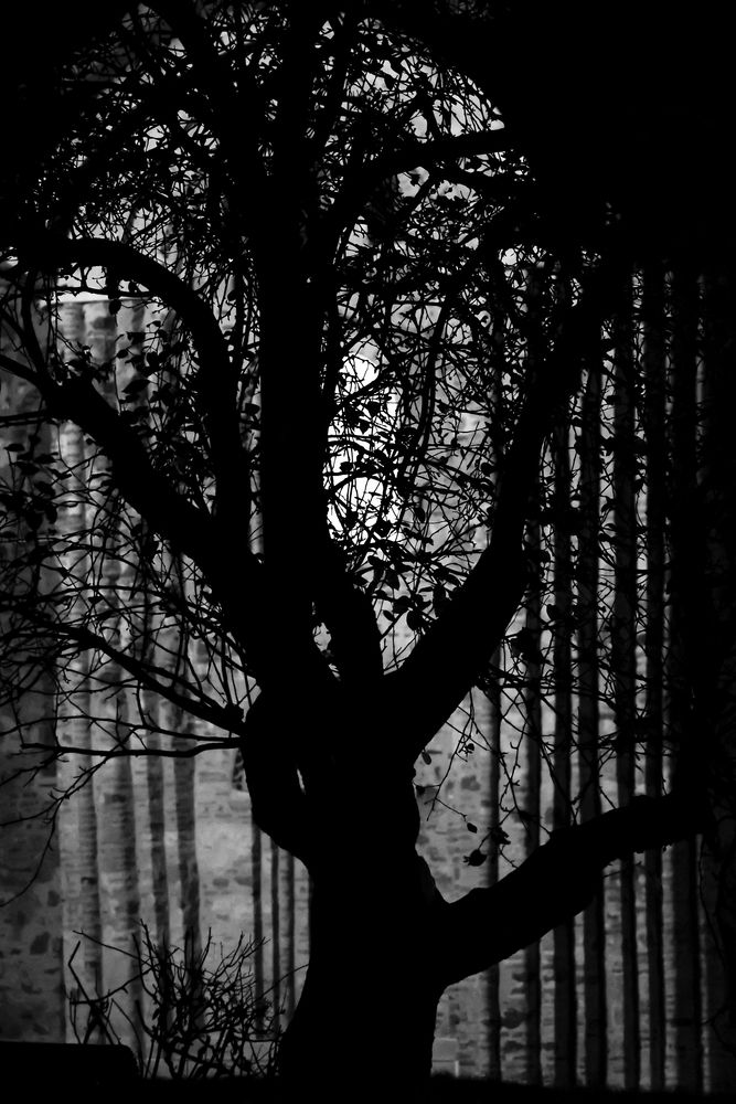 Иггдрасиль...