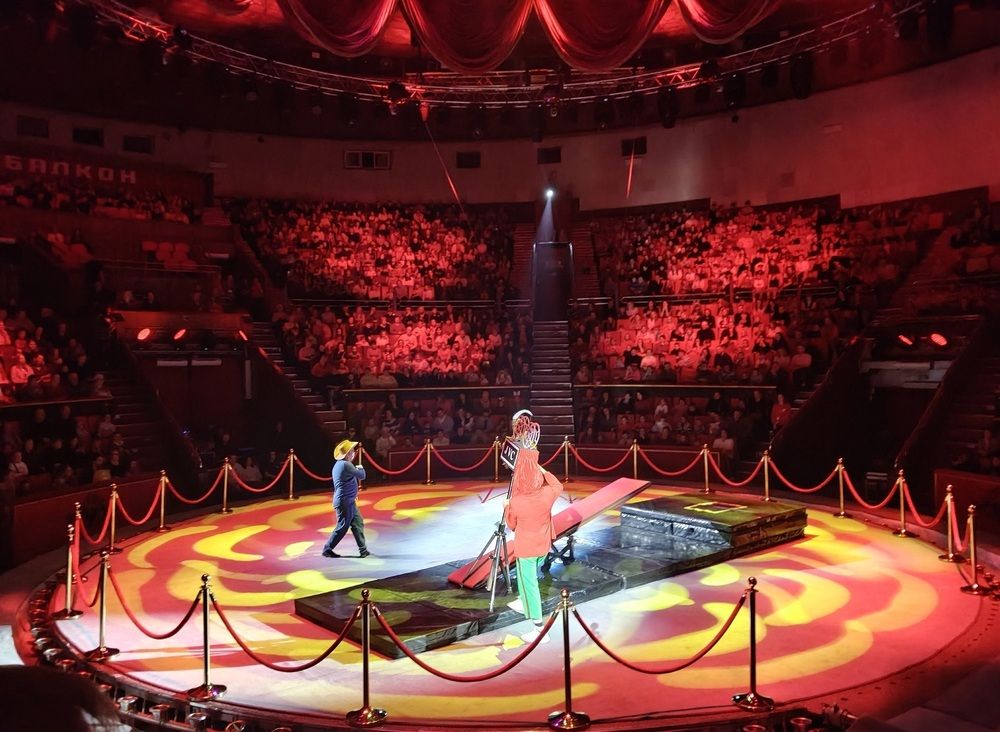 Фотография автора Елена Сухорученкова