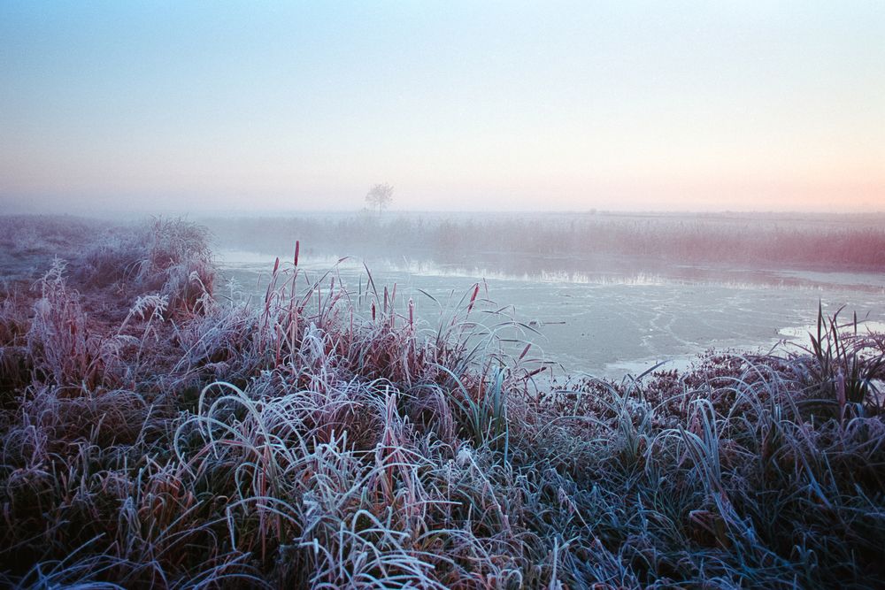 Photograph by Сергей Дивид