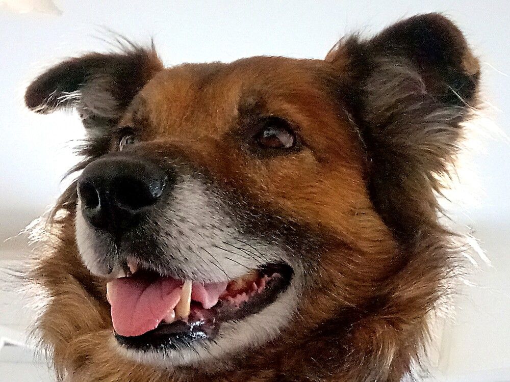 Фотография автора Сергей Рапопорт