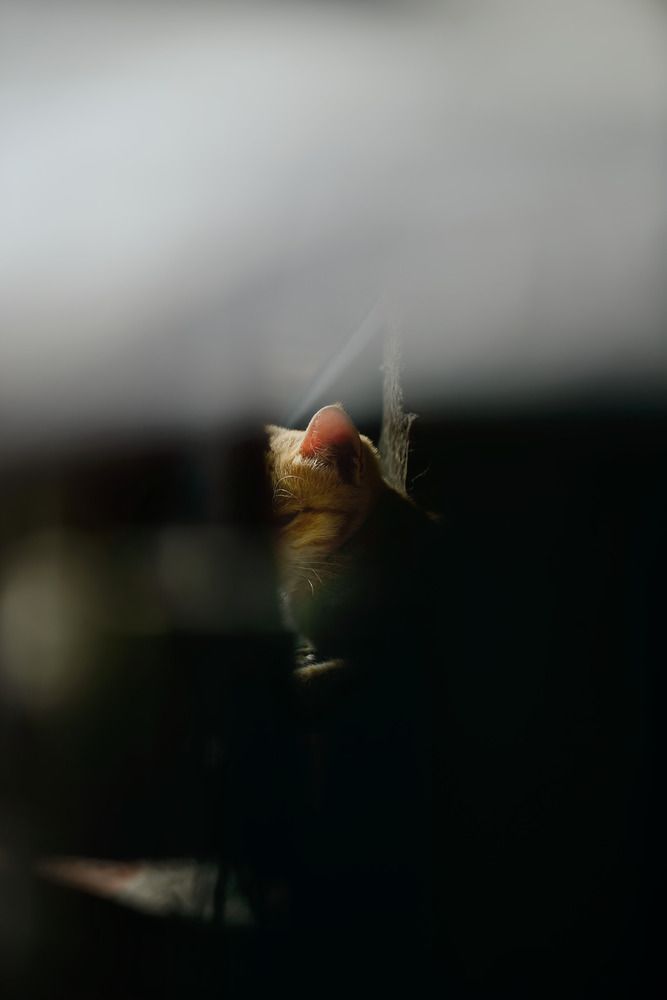 Photograph by Bùi Nguyễn