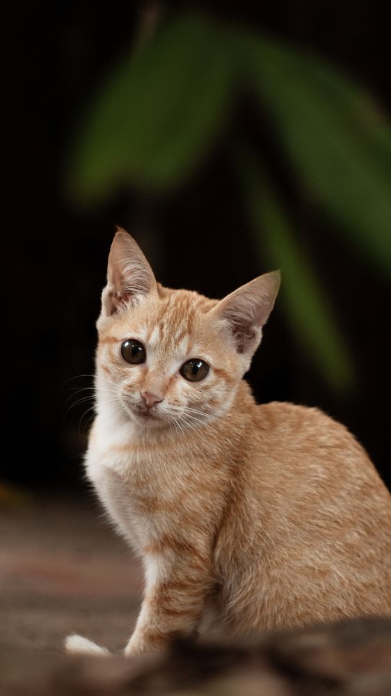 Photograph by Bùi Nguyễn