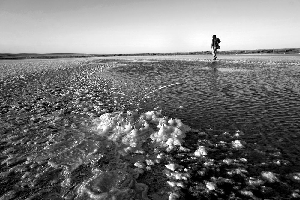 Photograph by Лена Максимкина