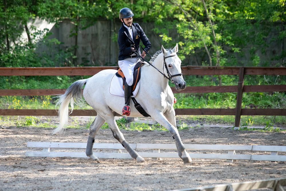 Photograph by Полина Ф