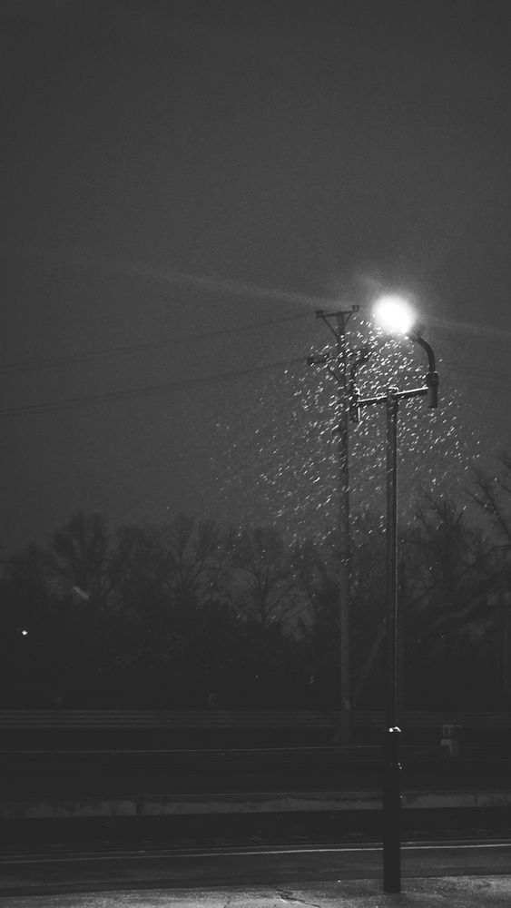 Фотография автора Иван Карпов