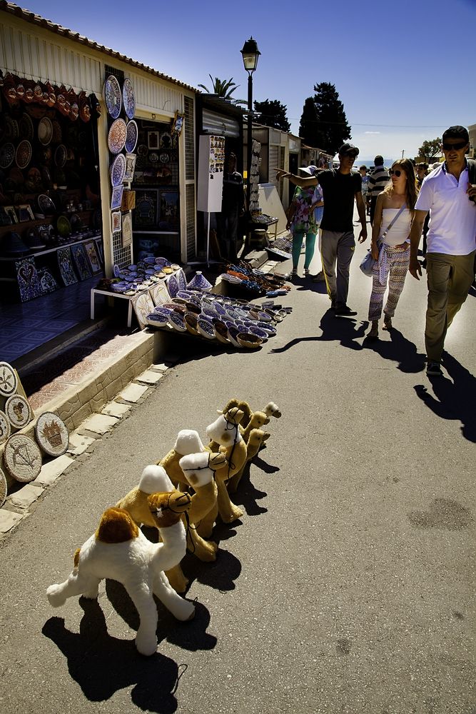 Корабли пустыни