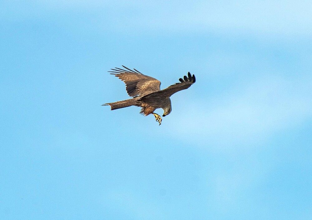Фотография автора Алексей Сиваков