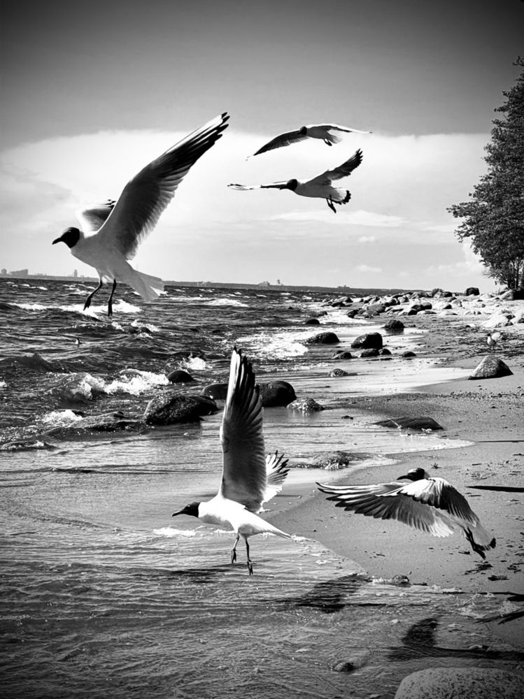 Photograph by Anna Krivorucko