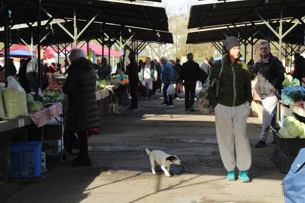 Фотография автора Любовь Войводич