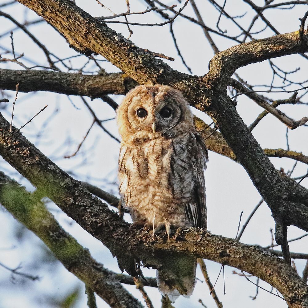 Photograph by Дмитрий Маккеев